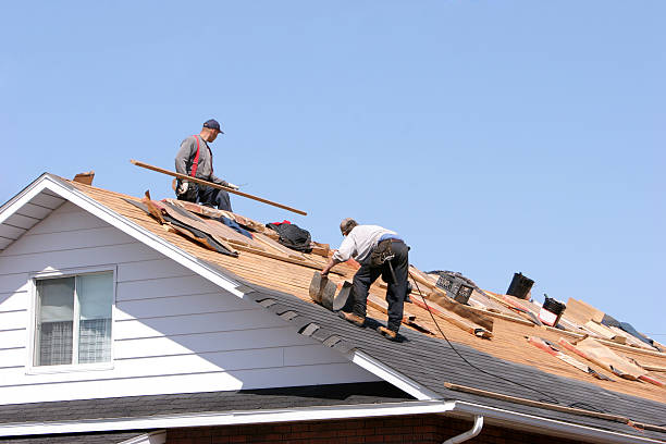 Best Roof Insulation Installation  in Eastman, GA